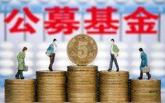 碳中和主题投资指南 从理念到实践